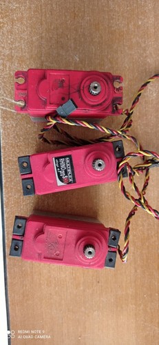 Multiplex special servo rhino
